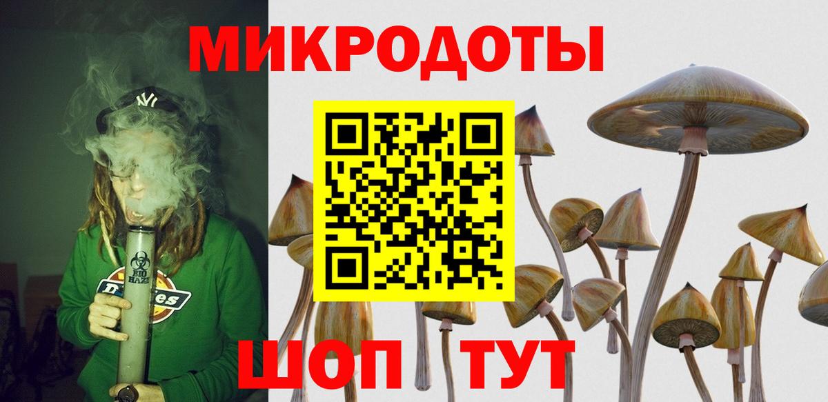 Абакан  Псилоцибиновые грибы Magic Shrooms  продажа наркотиков  Вход с VPN 