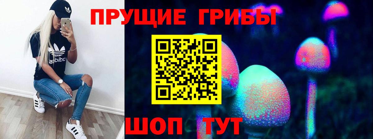 Галлюциногенные грибы Cubensis Абакан